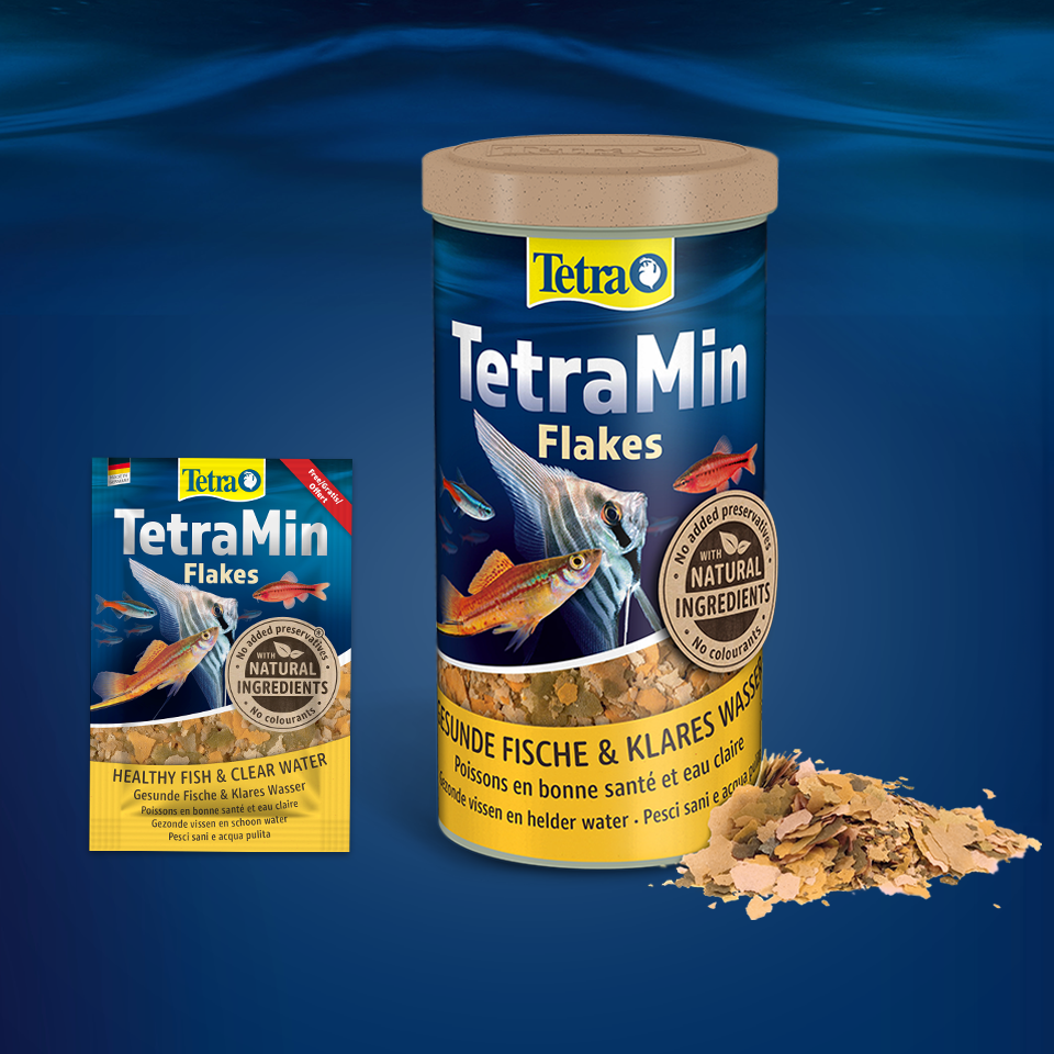 Tetra TetraMin Flakes Fischfutter 3g KOSTENLOS anfordern